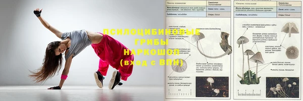 прущий лед Нея