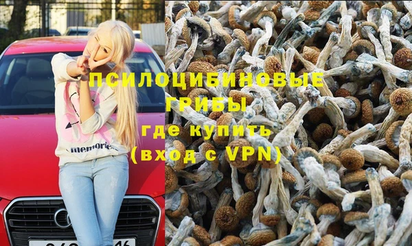 прущие крисы Нефтекумск