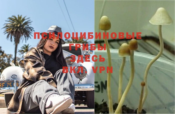 альфа пвп Новокубанск