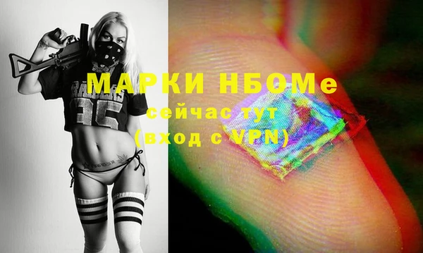 ешки Новодвинск