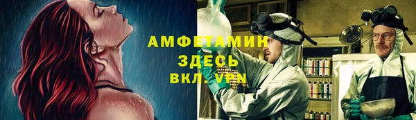шишки Новозыбков