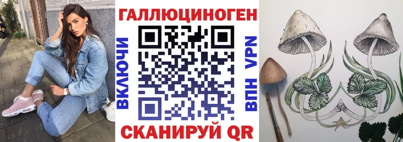 Псилоцибиновые грибы прущие грибы гидра зеркало Заволжье где купить